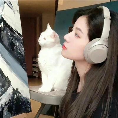 圣物秘闻录